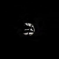 moon timelapse, stock time lapse - fullmåneuppgång i mörk naturhimmel, nattetid. fullmåneskiva time lapse med månen lyser upp i natten mörk svart himmel. högkvalitativa gratis videofilmer eller timelapse foto