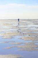 marinmålning strand lera vandring på de norr hav kust Tyskland. foto