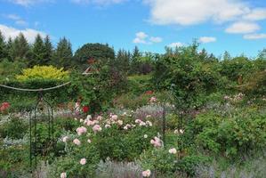 trädgårdar på rosemore, torrington, i devon, england, uk foto