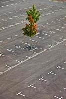 markerad parkeringsplats utan bilar foto