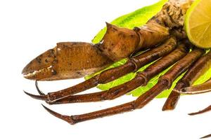 krabba ben på vit bakgrund foto