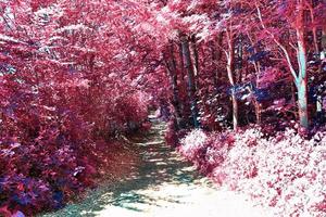 vackert rosa och lila infrarött panorama av ett landsbygdslandskap med en blå himmel foto