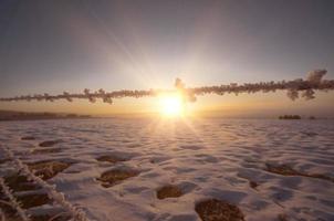 vinterlandskap under solnedgången foto