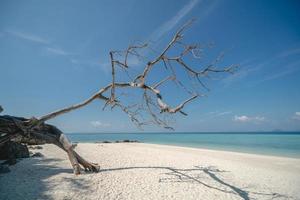 de skön vit sand strand med klar blå hav av bambu ö eller koh mai pai. phi phi ö nationell parkera, krabi, andaman, thailand. foto