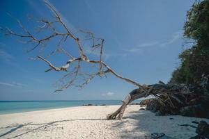 de skön vit sand strand med klar blå hav av bambu ö eller koh mai pai. phi phi ö nationell parkera, krabi, andaman, thailand. foto