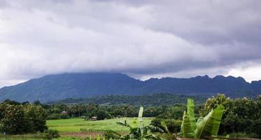 grön ris fält med berg bakgrund under molnig himmel efter regn i regnig säsong, panorama- se ris fält. foto