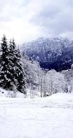 hallstatt vinter- snö berg landskap och de tall skog vertikal i höglänt dal leder till de gammal salt mina av hallstatt, österrike foto