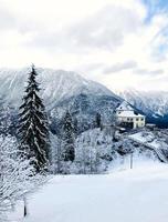 hallstatt vandring vinter- snöar i de berg landskap och de tall skog vertikal i höglänt dal hallstatt, österrike foto