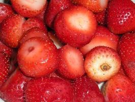 färska röda jordgubbar