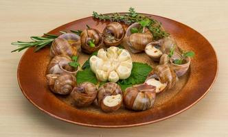 escargot på de tallrik och trä- bakgrund foto