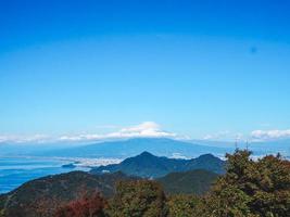 grön träd med löv på kväll tid i japan foto