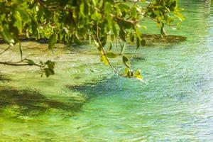små skön cenote grotta med flod turkos blå vatten Mexiko. foto
