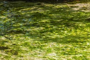 skön cenote grotta med flod turkos blå vatten textur Mexiko. foto