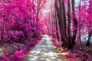 vackert rosa och lila infrarött panorama av ett landsbygdslandskap med en blå himmel foto