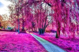 vackert rosa och lila infrarött panorama av ett landsbygdslandskap med en blå himmel foto