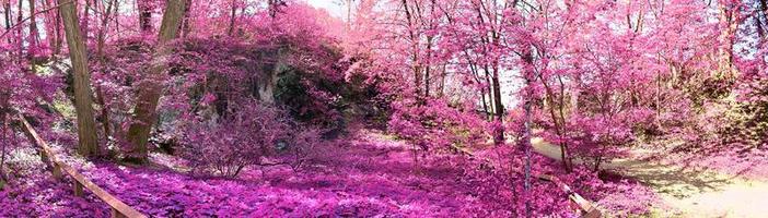 vackert rosa och lila infrarött panorama av ett landsbygdslandskap med en blå himmel foto