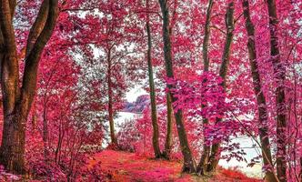 vackert rosa och lila infrarött panorama av ett landsbygdslandskap med en blå himmel foto