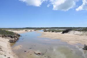 tidvattens- pooler längs de yttre cape i massachusetts foto