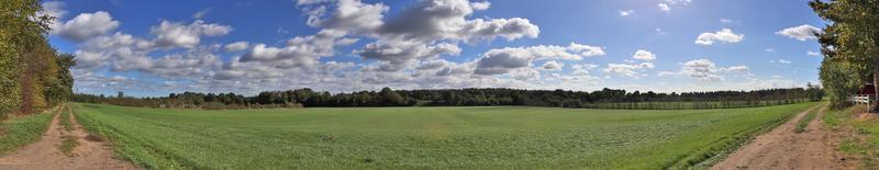 vackert högupplöst panorama av ett nordeuropeiskt landslandskap med fält och grönt gräs foto