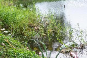 plast förorening i vatten damm miljö foto