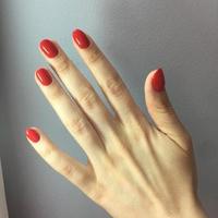 kvinna händer med eleganta röd manikyr på grå bakgrund foto