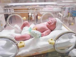 ny född bebis spädbarn sömn i de inkubator på sjukhus foto