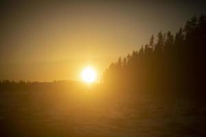 solnedgång Sol över skog. landskap i kväll. foto