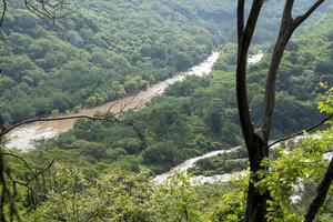 smutsig flod sett genom de huentitan ravin i guadalajara, grön vegetation, träd, växter och berg, mexico foto