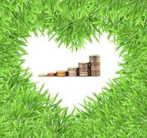 isolerat grön hjärta gräs Foto ram med mynt