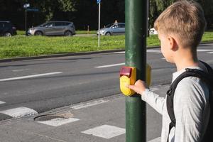 skol nära fotgängare korsning och trycker på gul enhet med knapp på efterfrågan på trafik ljus foto