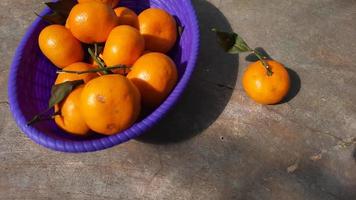 citrus- frukt i lila korg på kinesisk ny år 03 foto