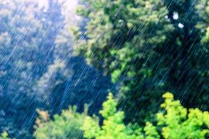lång och snabb regn droppar faller i grön skog på solig och blåsigt betingelser foto