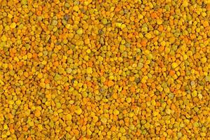 sömlös platt textur och bakgrund av gul bi pollen granulat foto