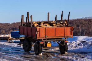 gammal rustik trailer med ved virke matrester på vinter- dagsljus foto