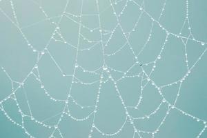 regndroppar på de Spindel webb i regnig dagar, blå bakgrund foto