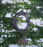 skön gammal järn ram hängande på en vit vägg täckt med grön löv. foto