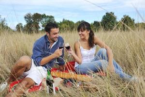 Lycklig par njuter landsbygden picknick i lång gräs foto