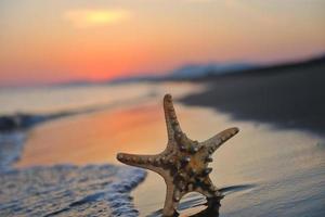 sommar strand solnedgång med stjärna på strand foto