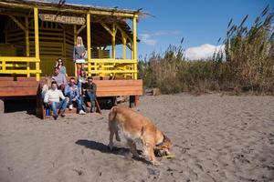 grupp av vänner har roligt på höst dag på strand foto