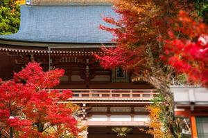 höst scen av kurama-dera, en tempel belägen på de bas av montera kurama i de långt norr av kyoto prefektur, kansai, japan foto