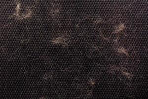 katt hår förorenad svart luft maska kontor stol räcker - närbild full ram se foto