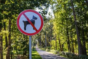 Nej hundar tillåten tecken på Pol i sommar grön parkera skog - närbild med selektiv fokus och bakgrund bokeh fläck foto