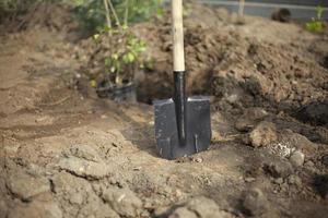 skyffel i jord. plantering träd. detaljer av plantering växter i parkera. trädgård verktyg. foto