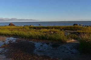 skön vegetation beläggning de strand kust i ladugårdsstall foto