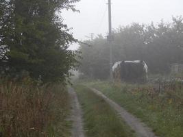 höst morgon- dimma i de by foto