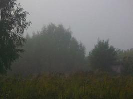höst morgon- dimma i de by foto