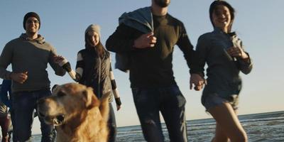 grupp av vänner har roligt på strand under höst dag foto