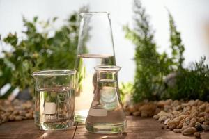 forskare med naturlig läkemedel forskning, naturlig organisk botanik och vetenskaplig glas, alternativ grön ört medicin, naturlig hud vård skönhet Produkter, forskning och utveckling begrepp. foto