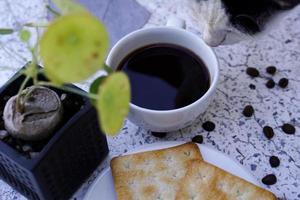 de varm svart kaffe i en vit kopp och de crackers är intensiv och gå väl tillsammans. foto