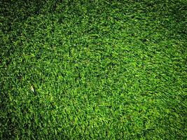 grön gräs textur använda sig av som naturlig bakgrund. tapet för design konstverk foto